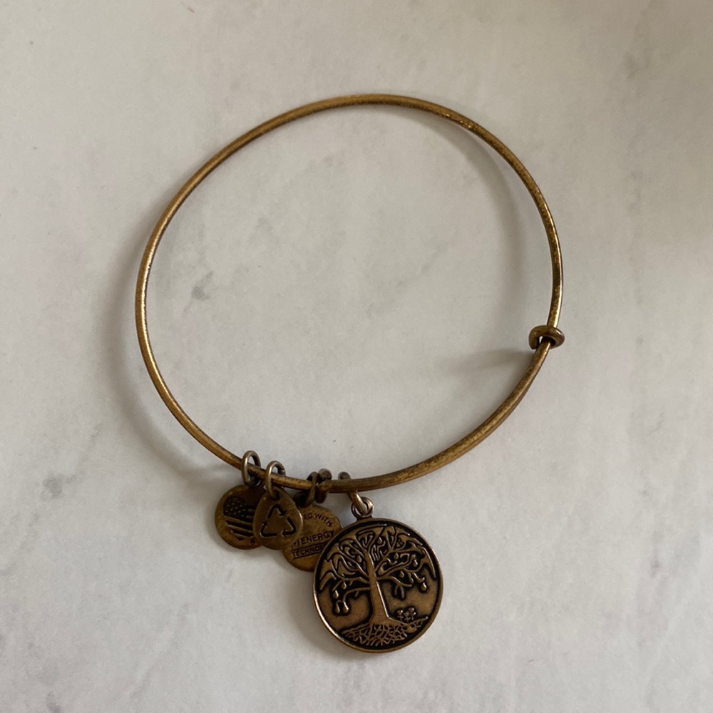 Alex and Ani - Tree of Life bracelet